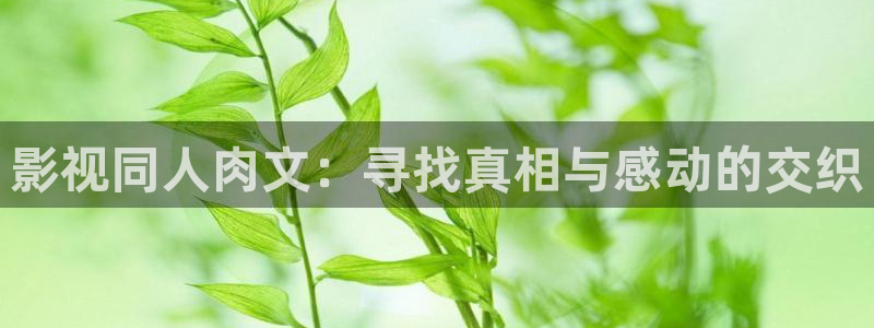 请回答1988星辰影视：影视同人肉文：寻找真相与感动的交织