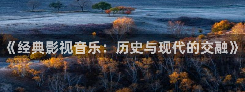 请回答1988视频在线观看免费