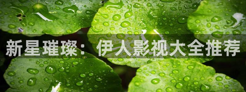 国产98超碰人人做人人爱：新星璀璨：伊人影视大全推荐