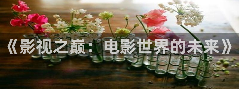 超碰987：《影视之巅：电影世界的未来》