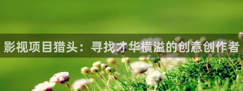 超碰在线98：影视项目猎头：寻找才华横溢的创意创作者